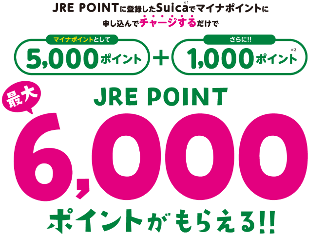 suica1